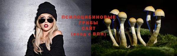 трава Арсеньев