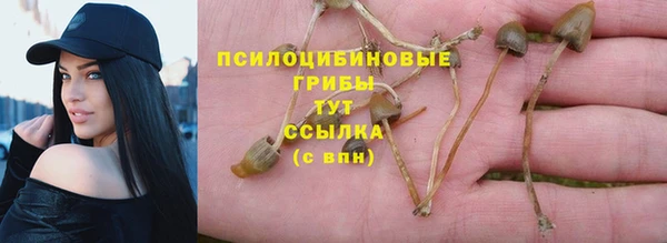 трава Арсеньев