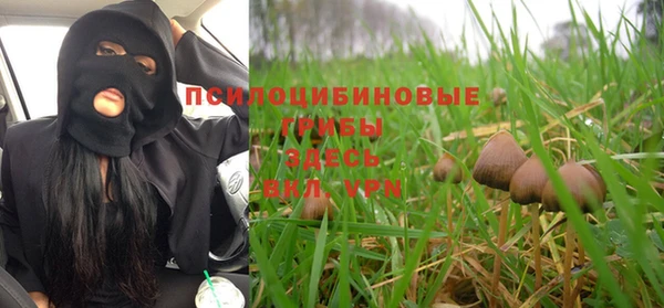 дмт Аркадак