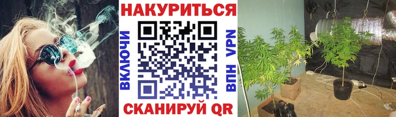 Бошки Шишки тримм  Ликино-Дулёво 